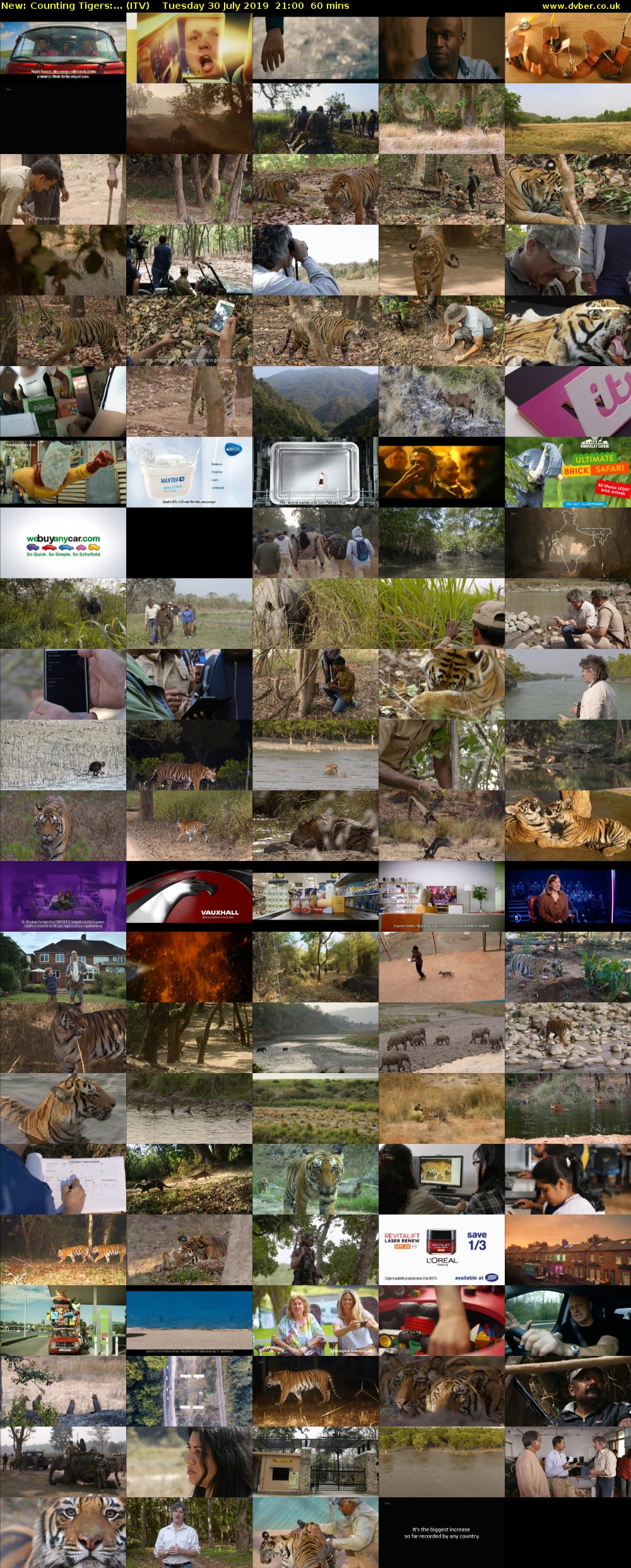 Counting Tigers:... (ITV) Tuesday 30 July 2019 21:00 - 22:00