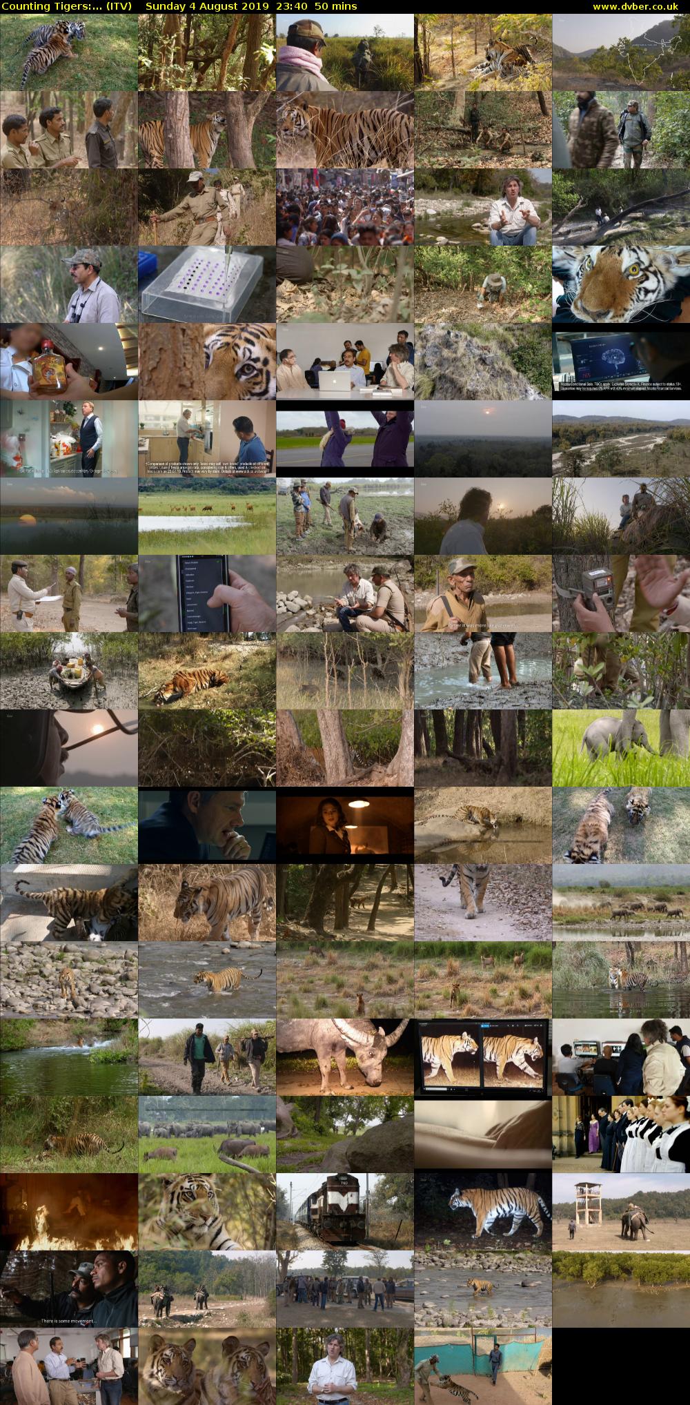 Counting Tigers:... (ITV) Sunday 4 August 2019 23:40 - 00:30