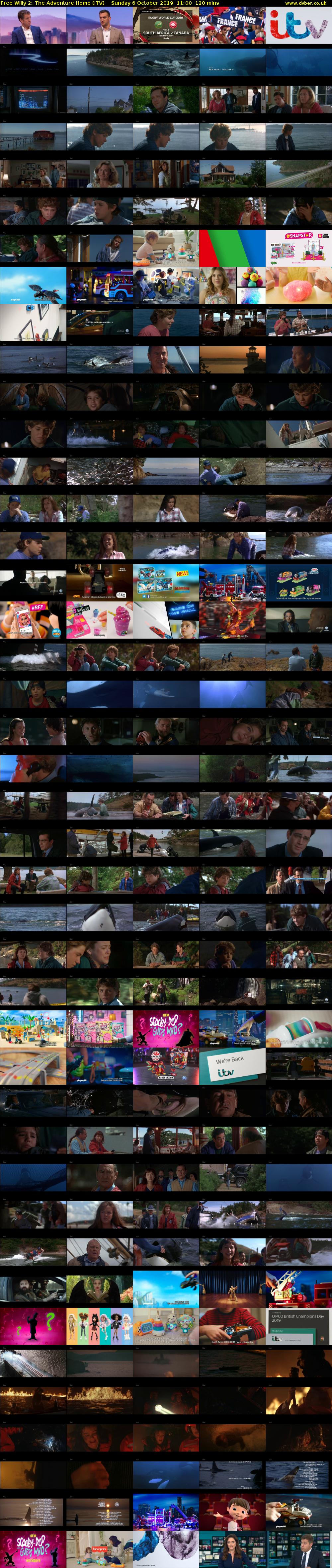 Free Willy 2: The Adventure Home (ITV) Sunday 6 October 2019 11:00 - 13:00