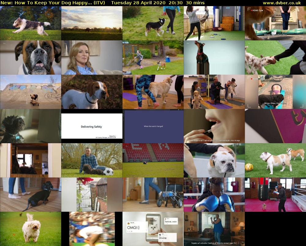 How To Keep Your Dog Happy... (ITV) Tuesday 28 April 2020 20:30 - 21:00