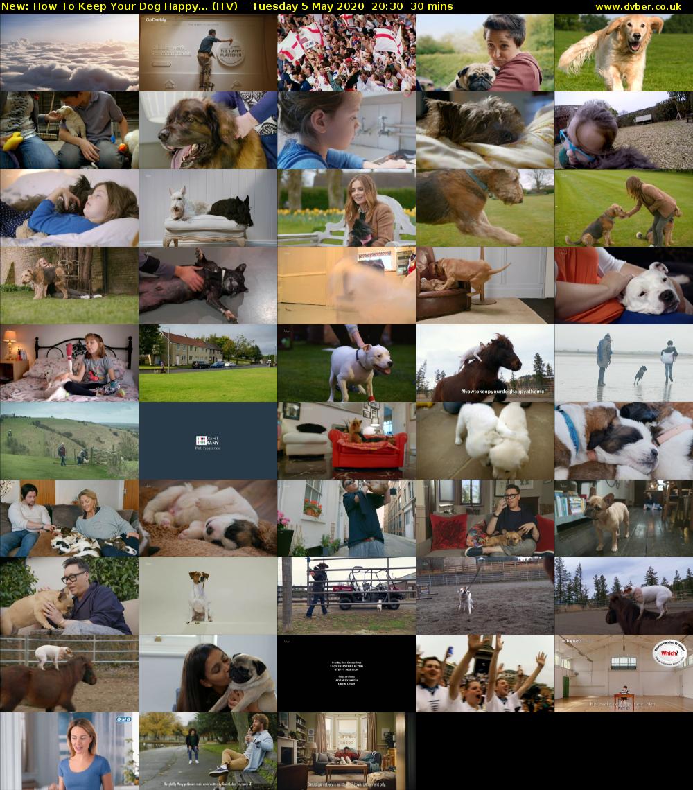 How To Keep Your Dog Happy... (ITV) Tuesday 5 May 2020 20:30 - 21:00