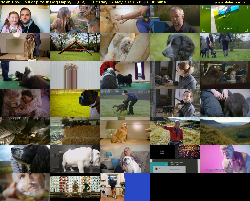 How To Keep Your Dog Happy... (ITV) Tuesday 12 May 2020 20:30 - 21:00