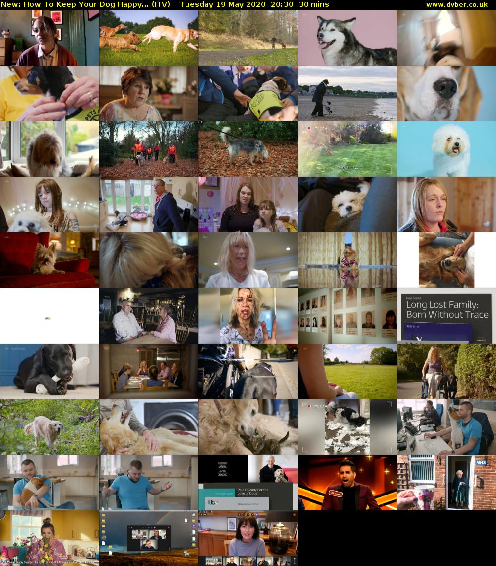 How To Keep Your Dog Happy... (ITV) Tuesday 19 May 2020 20:30 - 21:00