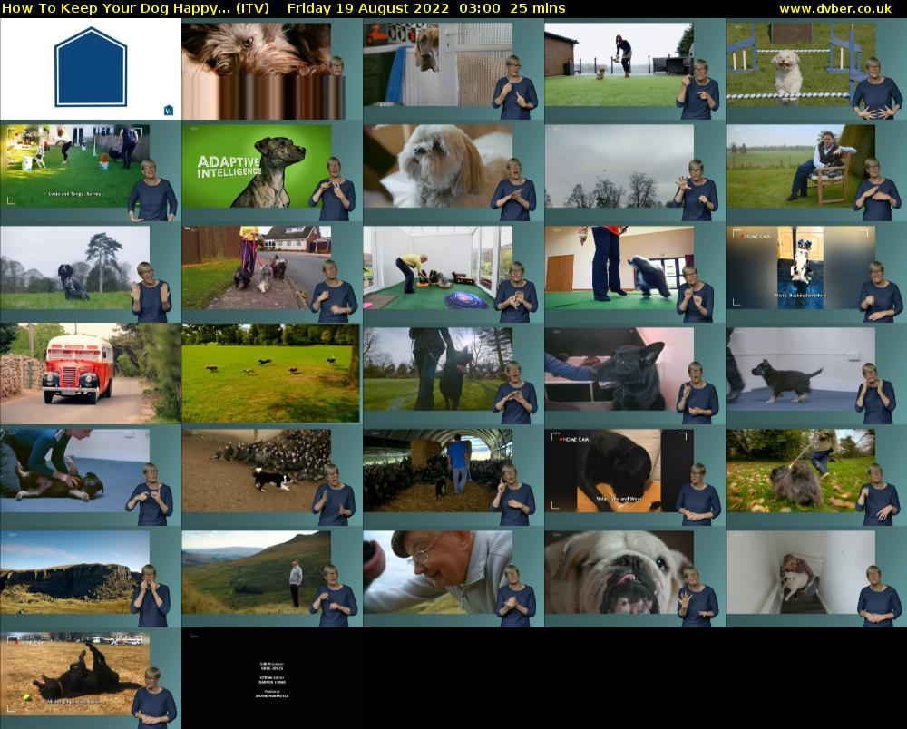How To Keep Your Dog Happy... (ITV) Friday 19 August 2022 03:00 - 03:25