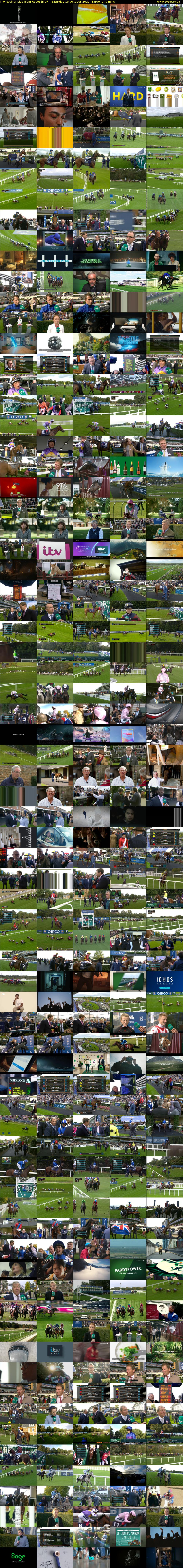 ITV Racing: Live from Ascot (ITV) Saturday 15 October 2022 13:00 - 17:00