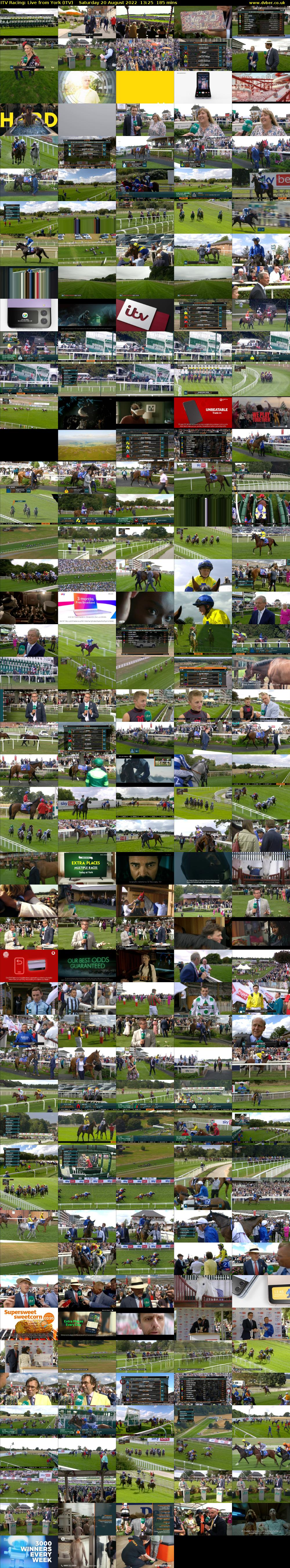 ITV Racing: Live from York (ITV) Saturday 20 August 2022 13:25 - 16:30