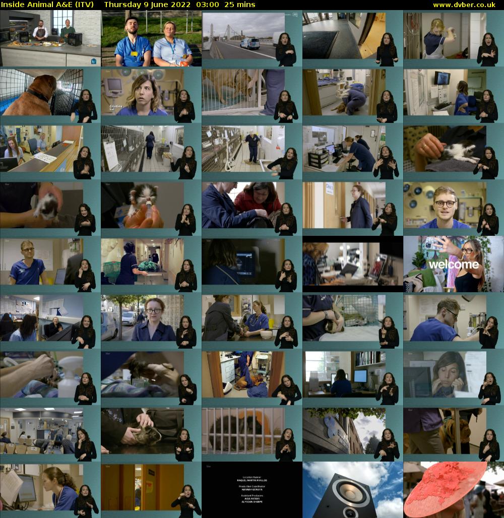 Inside Animal A&E (ITV) Thursday 9 June 2022 03:00 - 03:25