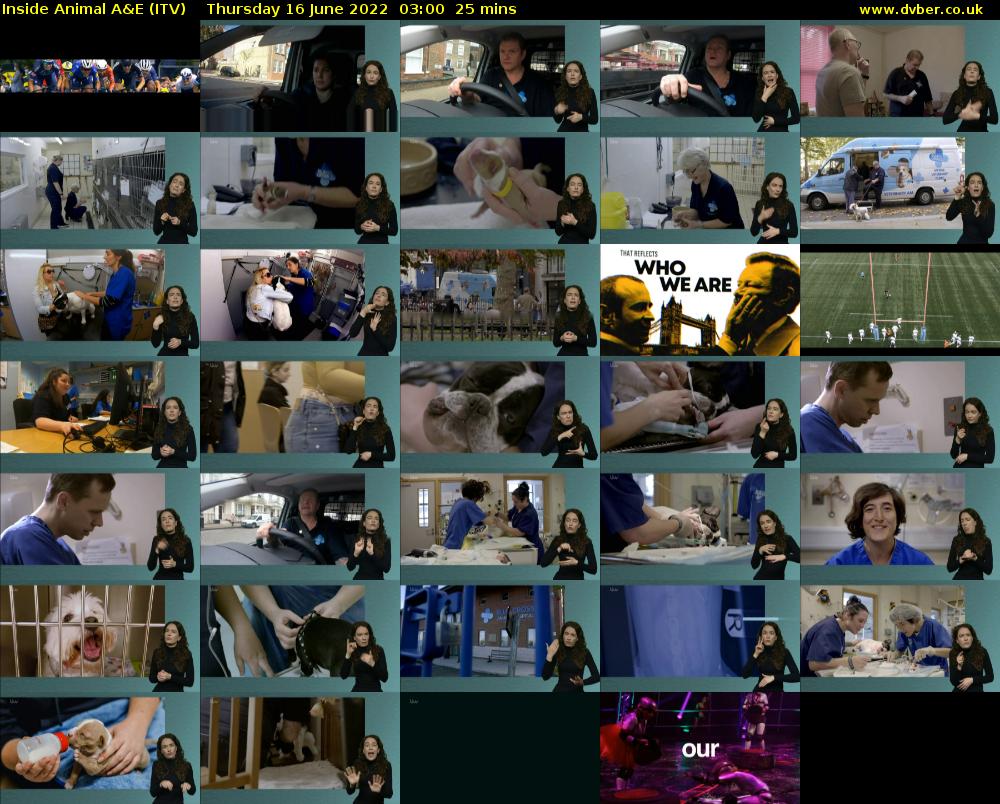 Inside Animal A&E (ITV) Thursday 16 June 2022 03:00 - 03:25