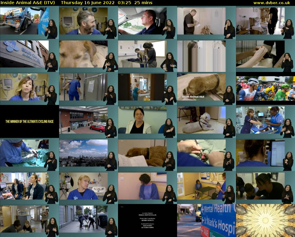 Inside Animal A&E (ITV) Thursday 16 June 2022 03:25 - 03:50