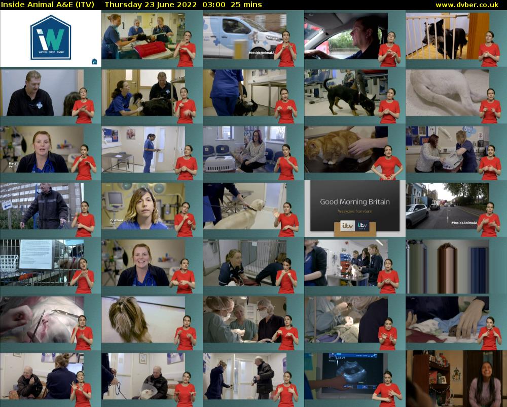Inside Animal A&E (ITV) Thursday 23 June 2022 03:00 - 03:25
