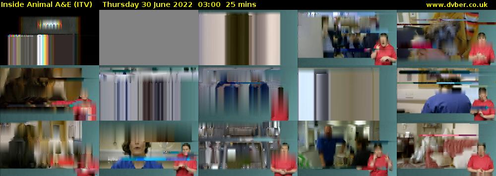 Inside Animal A&E (ITV) Thursday 30 June 2022 03:00 - 03:25