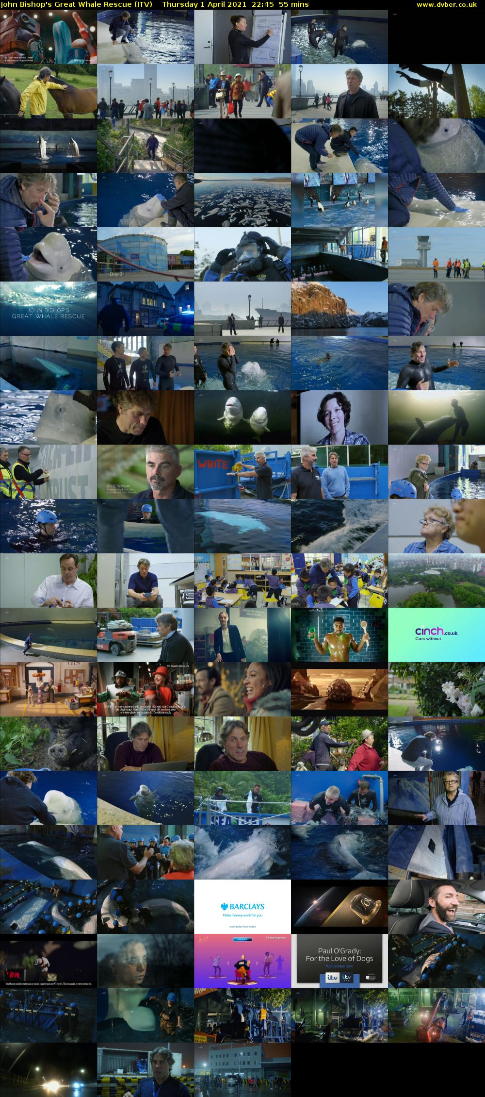 John Bishop's Great Whale Rescue (ITV) Thursday 1 April 2021 22:45 - 23:40