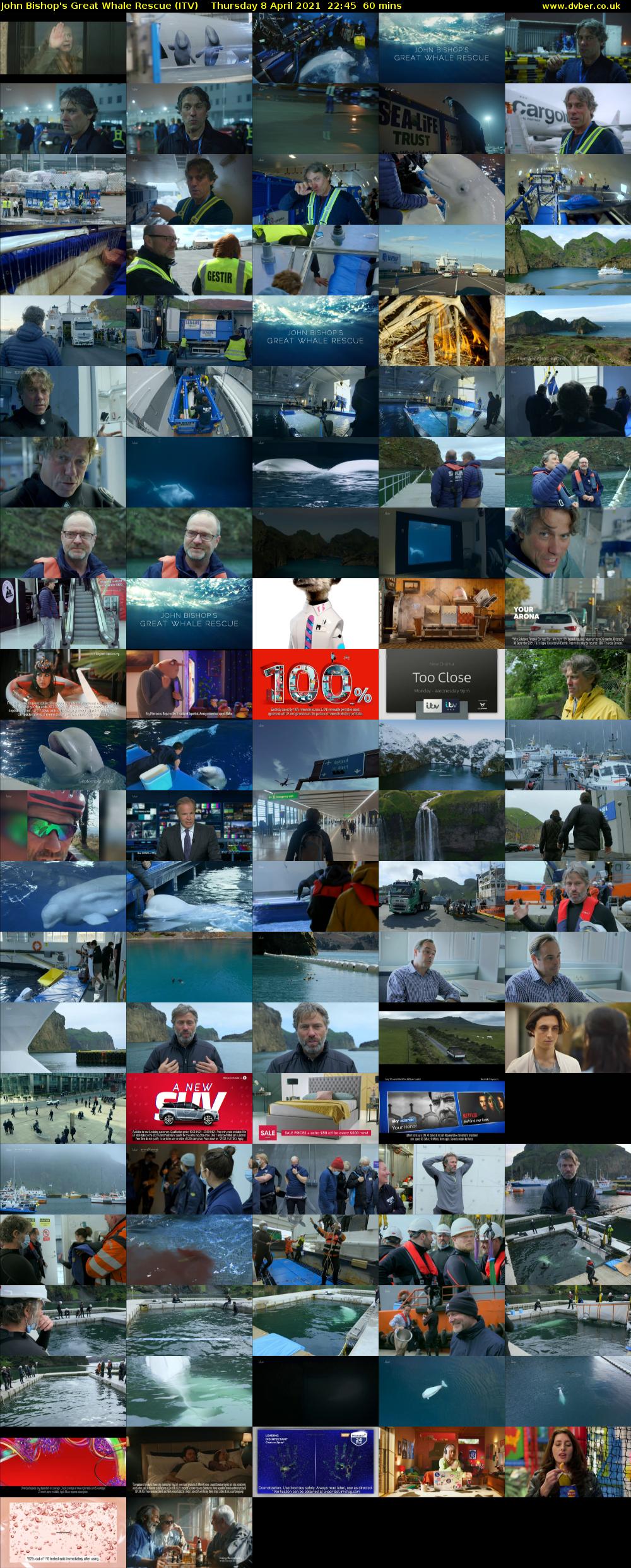 John Bishop's Great Whale Rescue (ITV) Thursday 8 April 2021 22:45 - 23:45