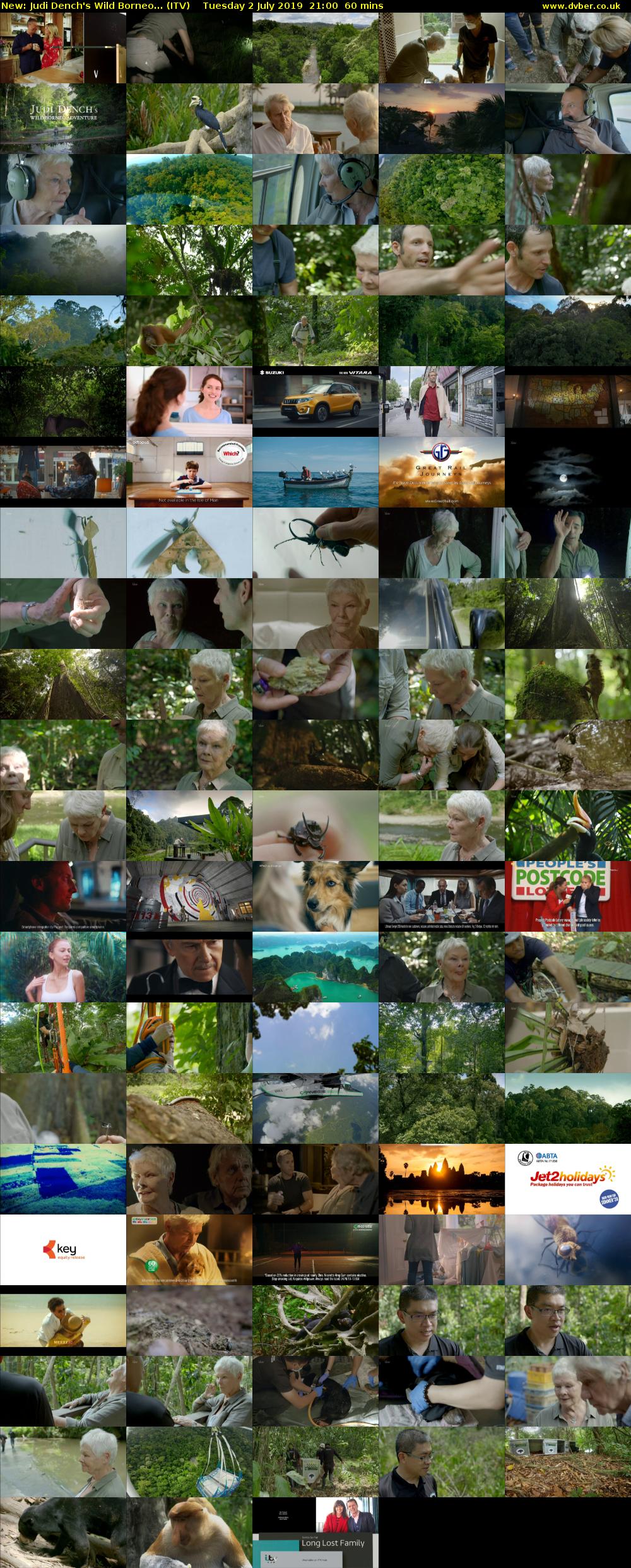 Judi Dench's Wild Borneo... (ITV) Tuesday 2 July 2019 21:00 - 22:00