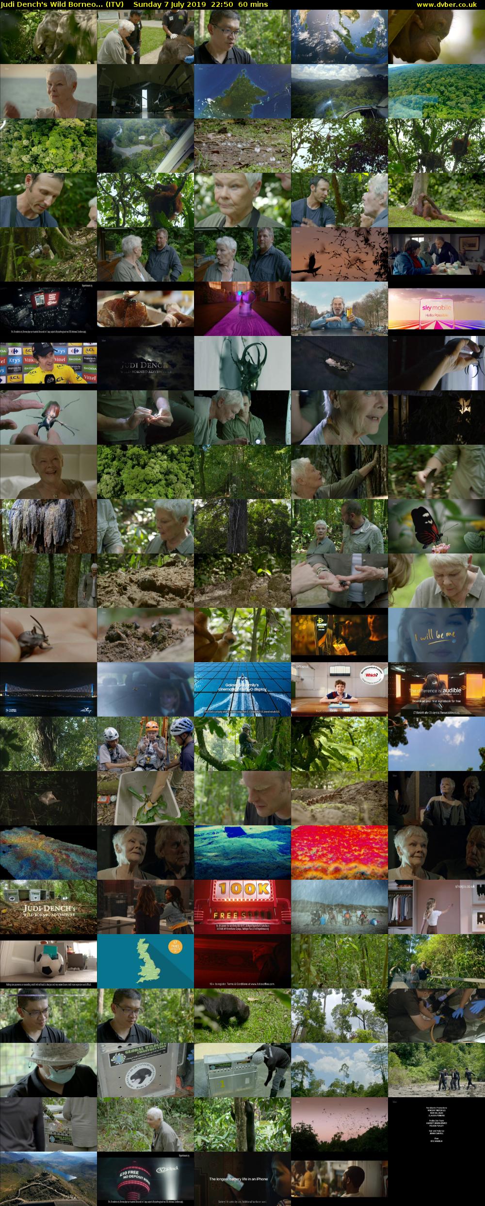 Judi Dench's Wild Borneo... (ITV) Sunday 7 July 2019 22:50 - 23:50