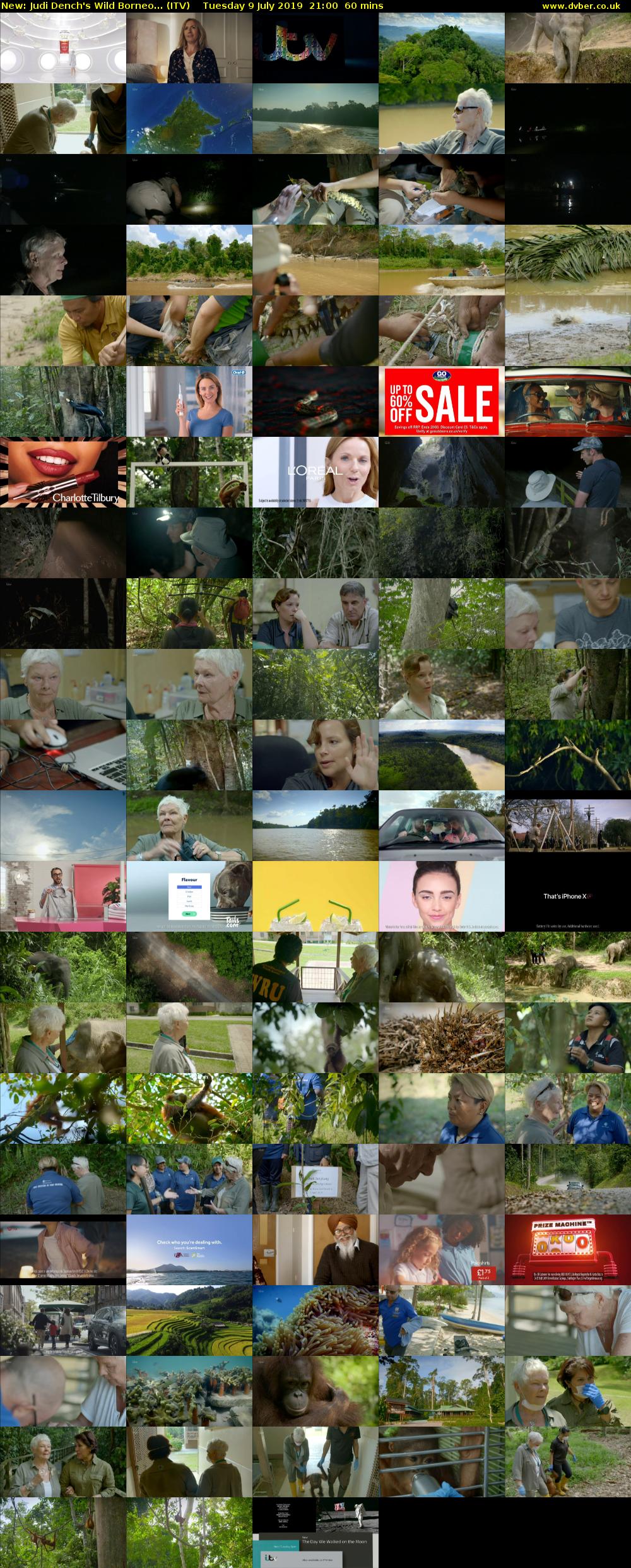 Judi Dench's Wild Borneo... (ITV) Tuesday 9 July 2019 21:00 - 22:00