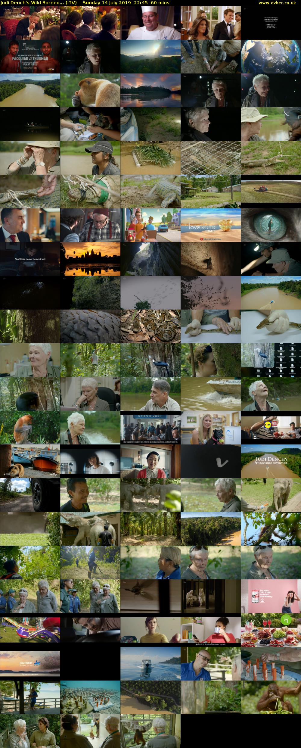 Judi Dench's Wild Borneo... (ITV) Sunday 14 July 2019 22:45 - 23:45