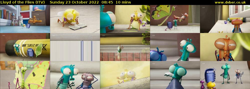 Lloyd of the Flies (ITV) Sunday 23 October 2022 08:45 - 08:55