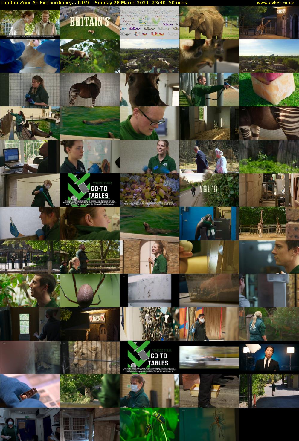 London Zoo: An Extraordinary... (ITV) Sunday 28 March 2021 23:40 - 00:30