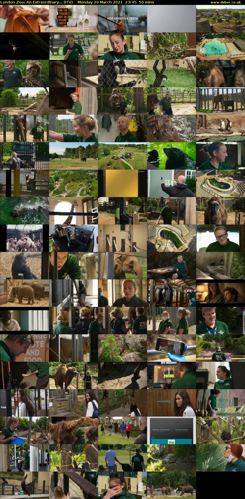 London Zoo: An Extraordinary... (ITV) Monday 29 March 2021 23:45 - 00:35