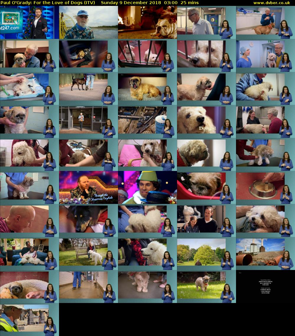 Paul O'Grady: For the Love of Dogs (ITV) Sunday 9 December 2018 03:00 - 03:25