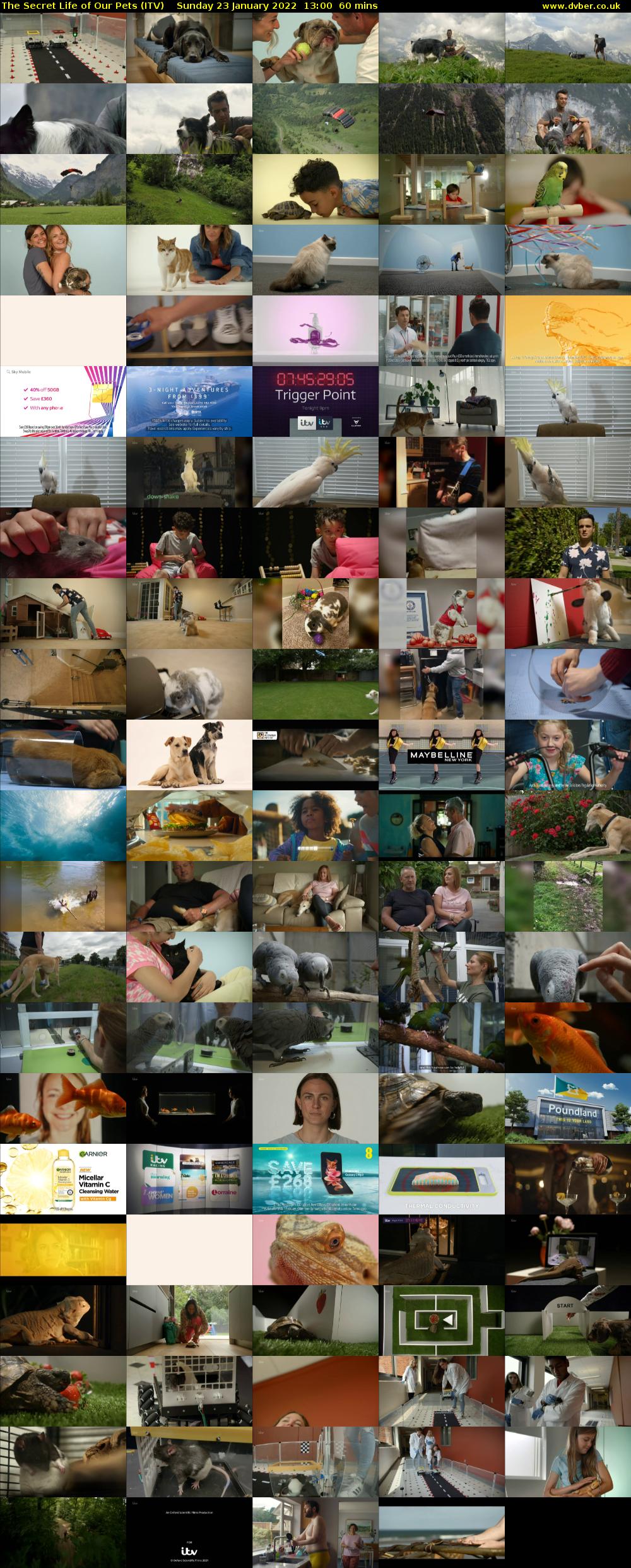 The Secret Life of Our Pets (ITV) Sunday 23 January 2022 13:00 - 14:00