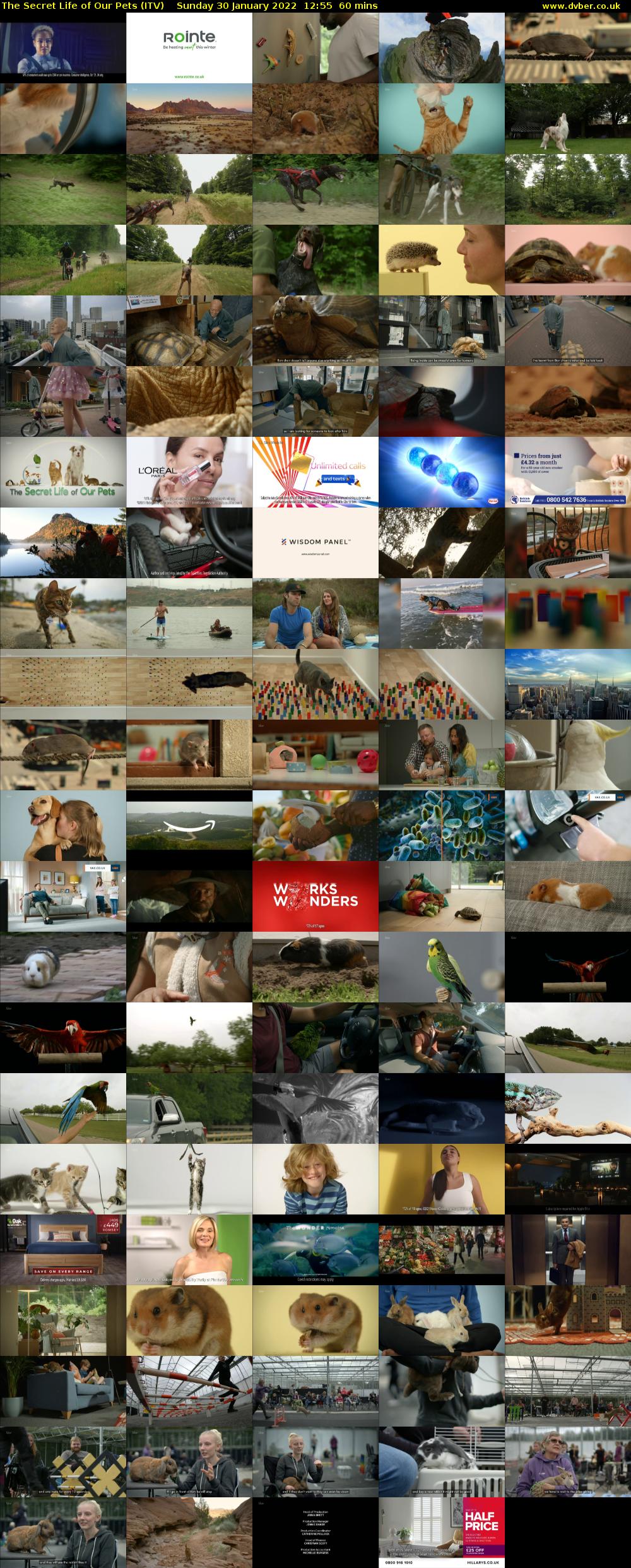 The Secret Life of Our Pets (ITV) Sunday 30 January 2022 12:55 - 13:55