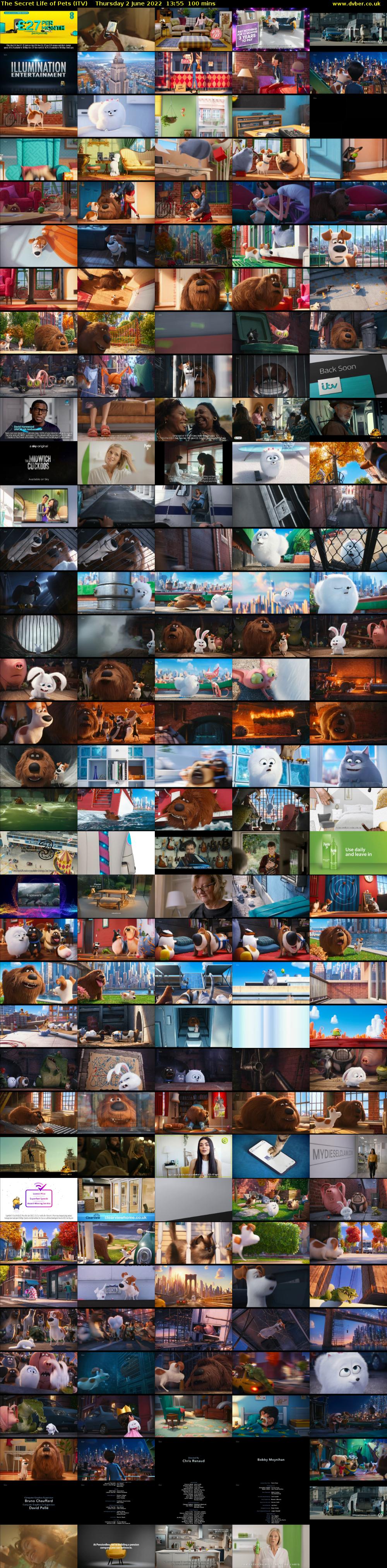 The Secret Life of Pets (ITV) Thursday 2 June 2022 13:55 - 15:35