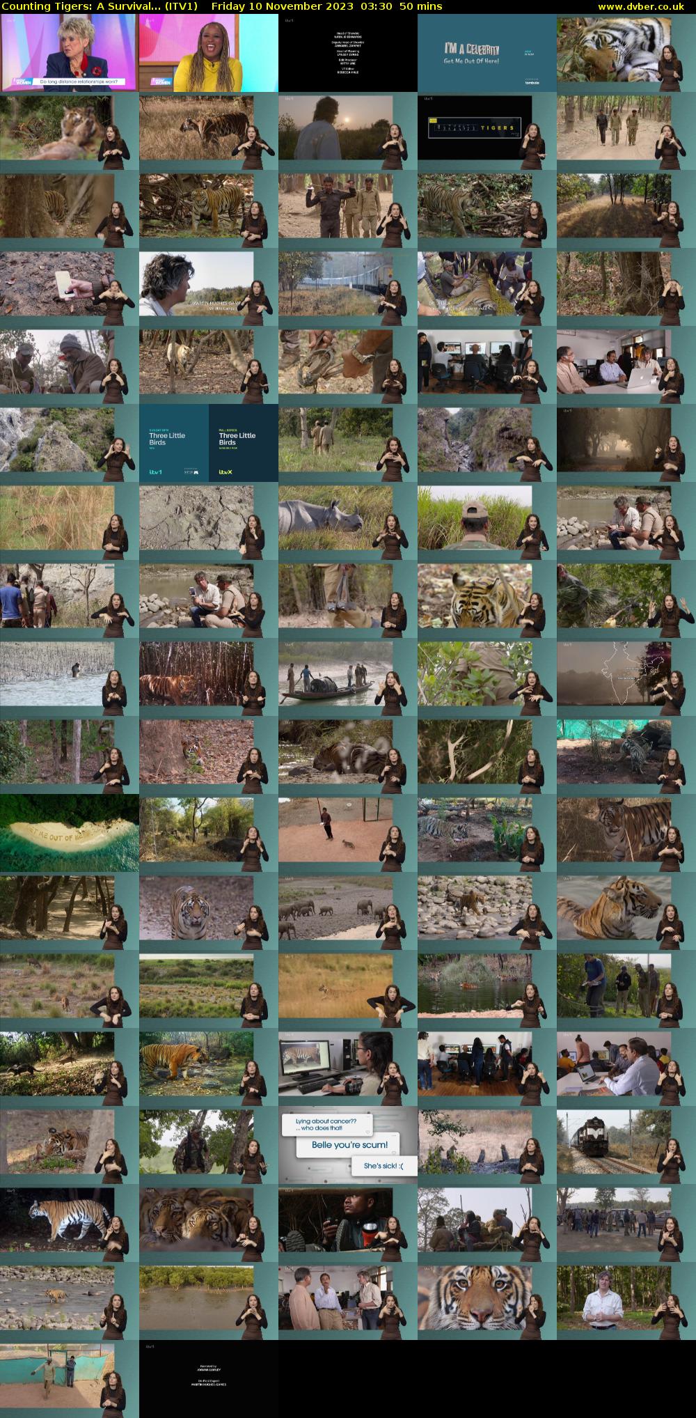 Counting Tigers: A Survival... (ITV1) Friday 10 November 2023 03:30 - 04:20