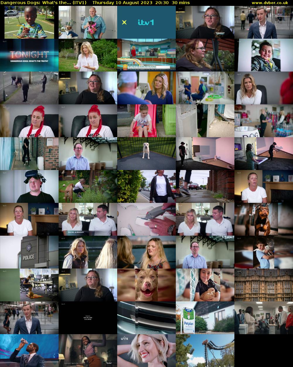 Dangerous Dogs: What's the... (ITV1) Thursday 10 August 2023 20:30 - 21:00