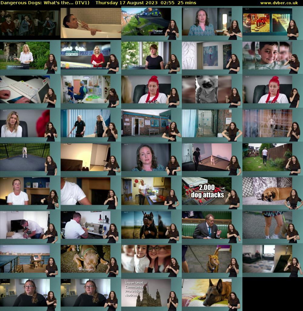 Dangerous Dogs: What's the... (ITV1) Thursday 17 August 2023 02:55 - 03:20