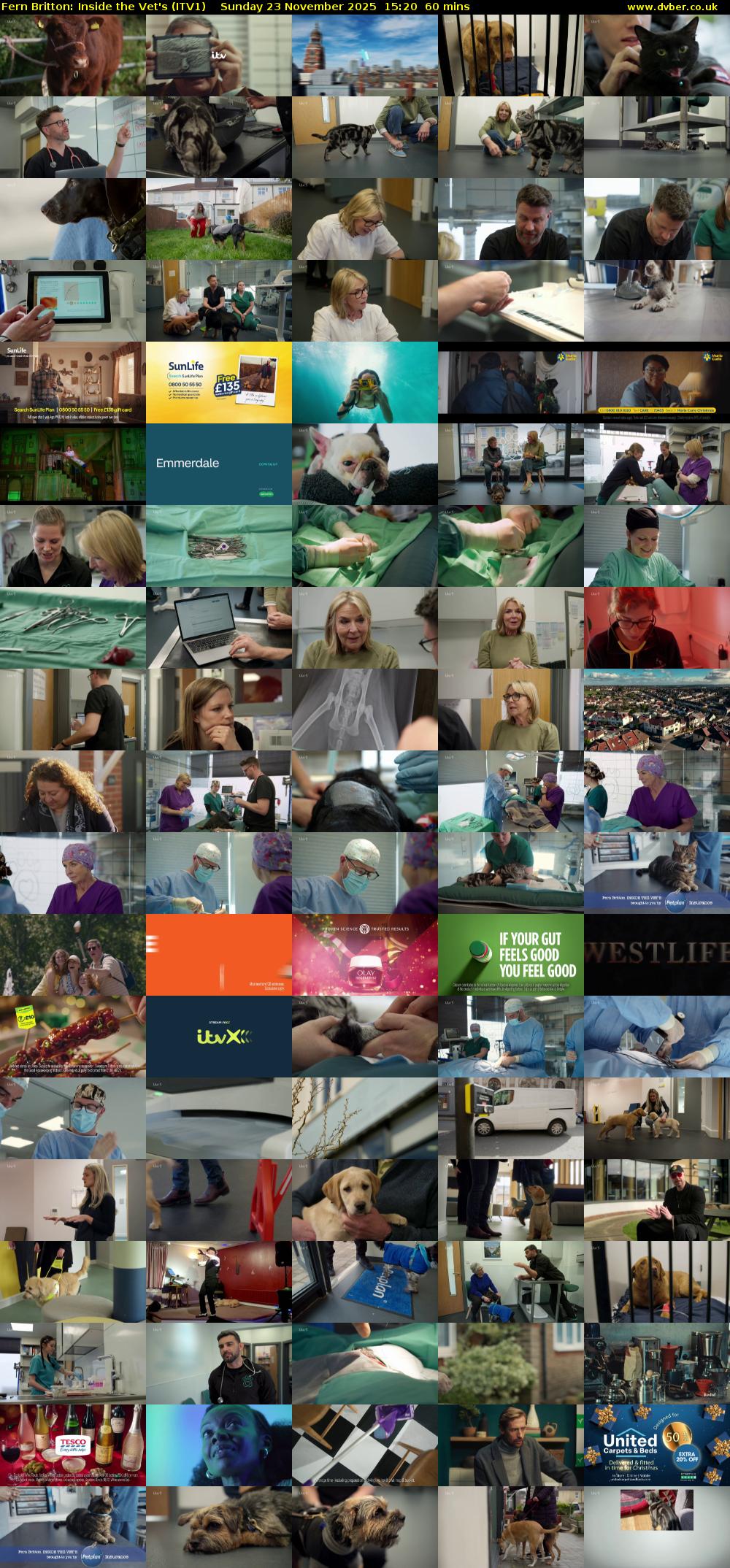 Fern Britton: Inside the Vet's (ITV1) Sunday 23 November 2025 15:20 - 16:20