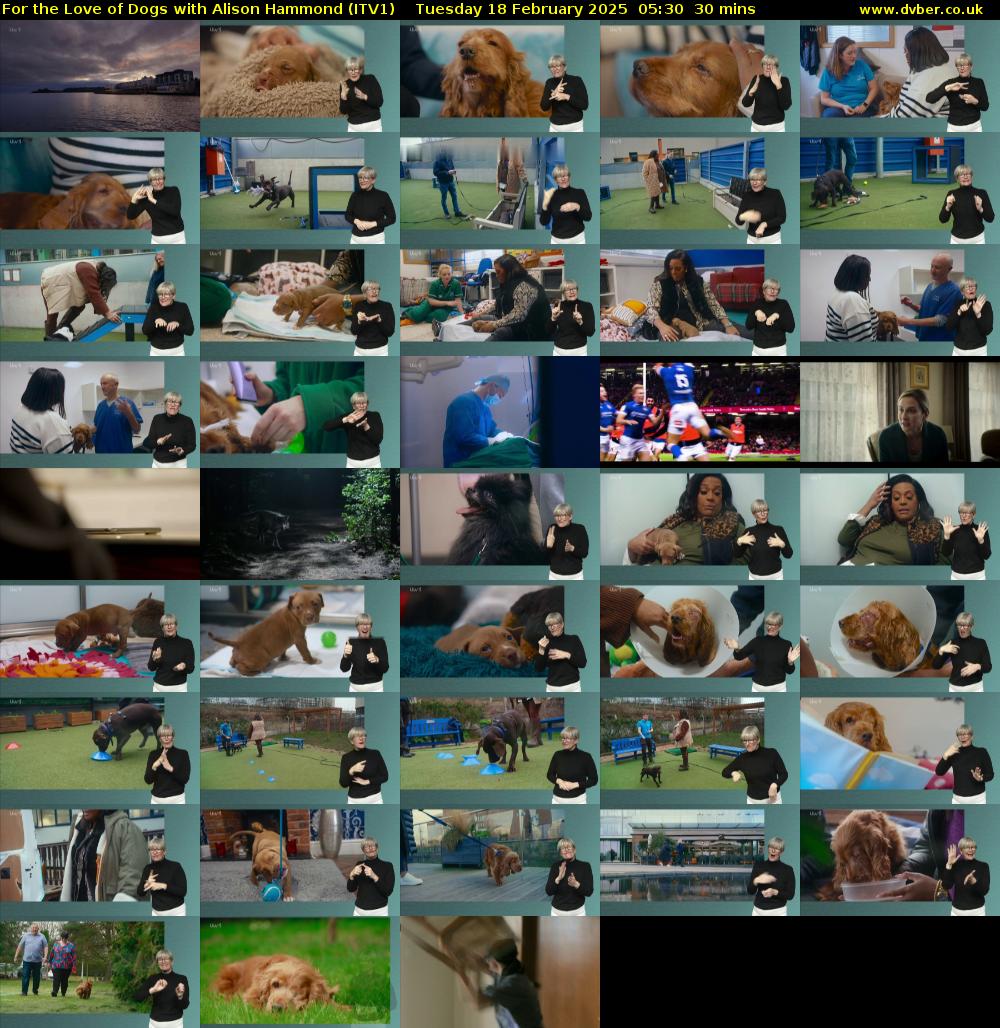 For the Love of Dogs with Alison Hammond (ITV1) Tuesday 18 February 2025 05:30 - 06:00