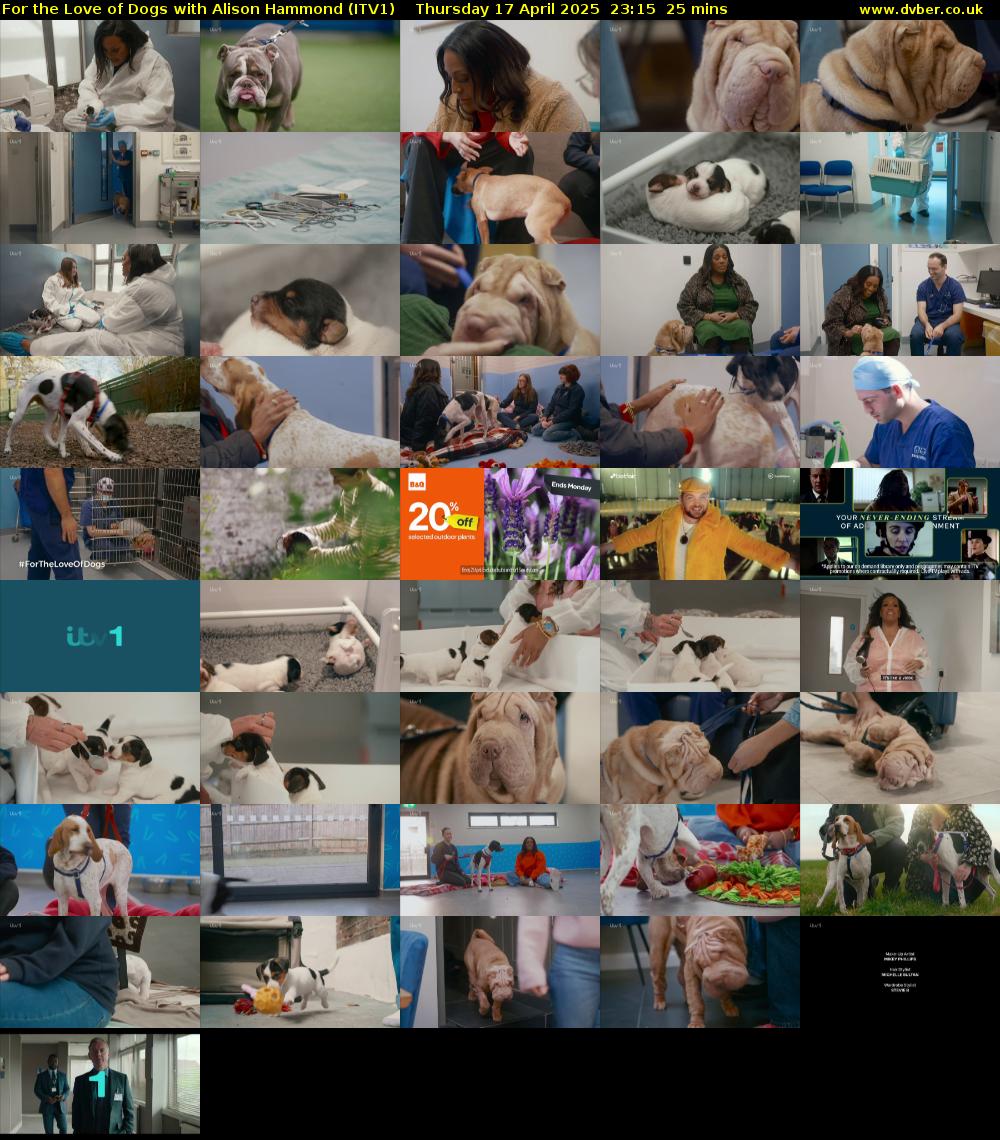 For the Love of Dogs with Alison Hammond (ITV1) Thursday 17 April 2025 23:15 - 23:40