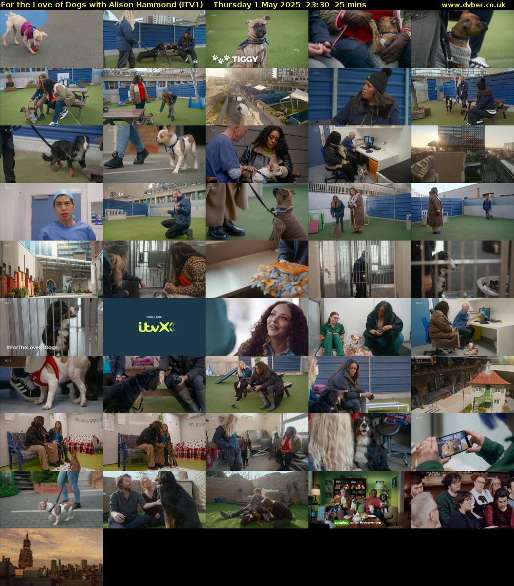 For the Love of Dogs with Alison Hammond (ITV1) Thursday 1 May 2025 23:30 - 23:55