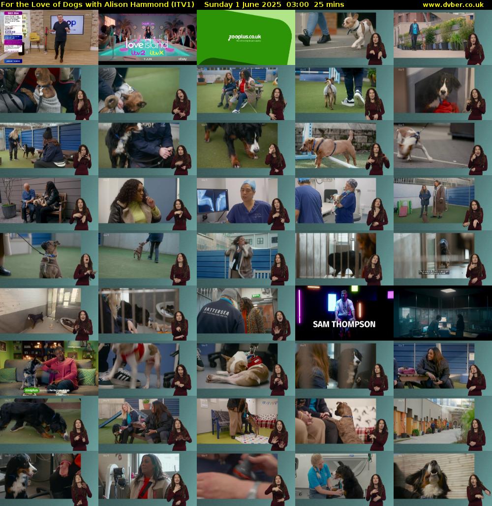 For the Love of Dogs with Alison Hammond (ITV1) Sunday 1 June 2025 03:00 - 03:25