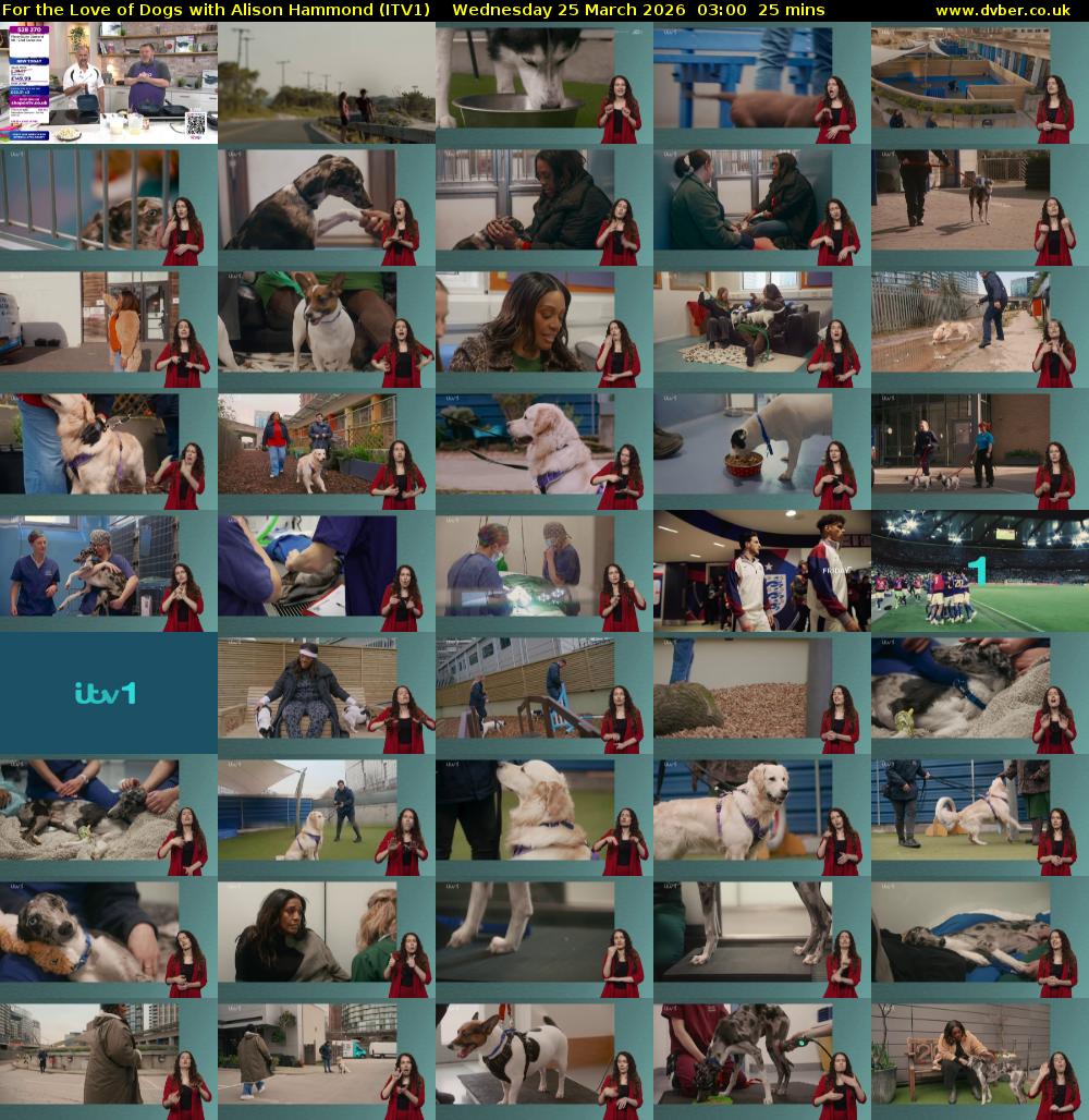 For the Love of Dogs with Alison Hammond (ITV1) Wednesday 25 March 2026 03:00 - 03:25