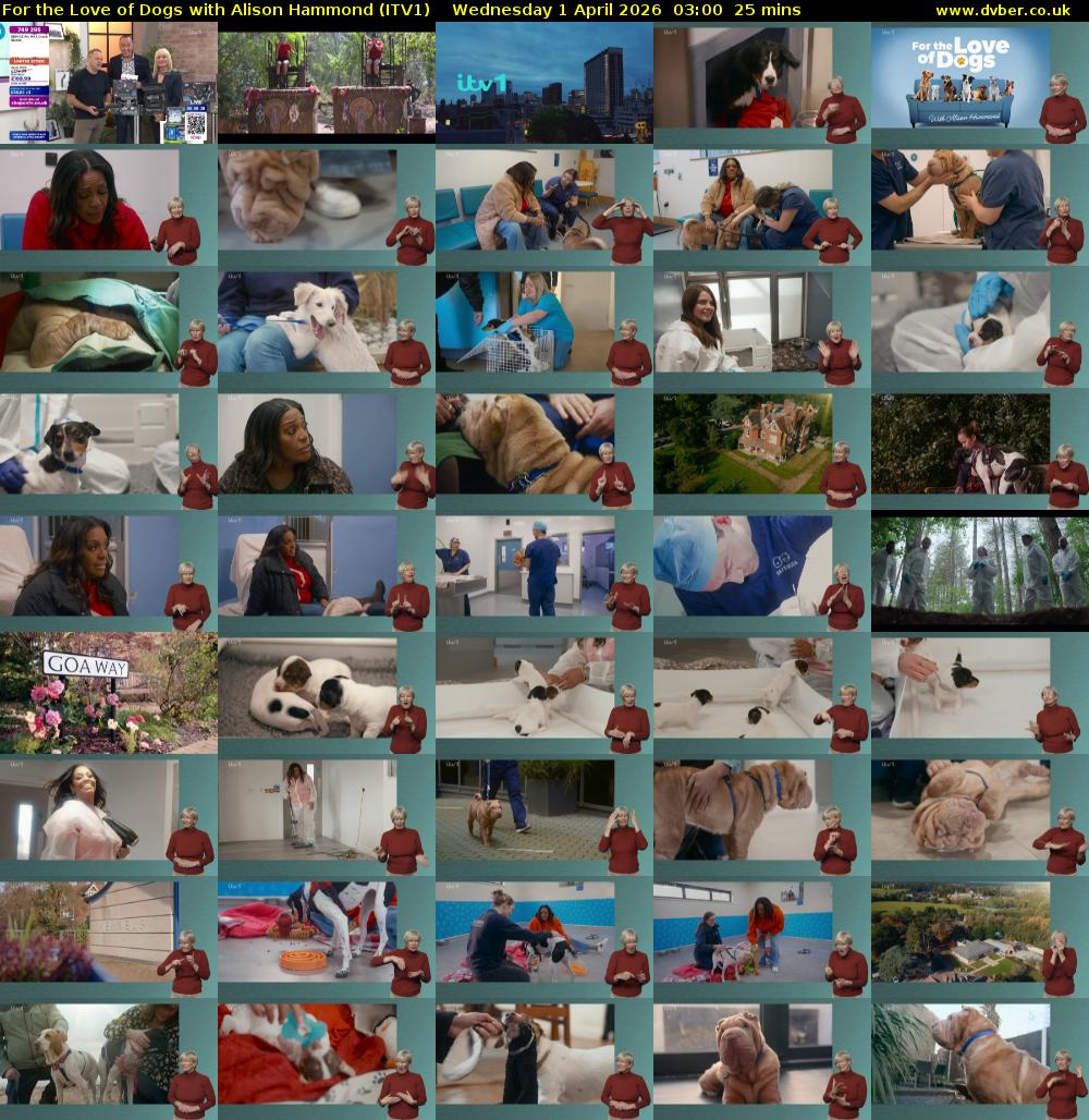 For the Love of Dogs with Alison Hammond (ITV1) Wednesday 1 April 2026 03:00 - 03:25