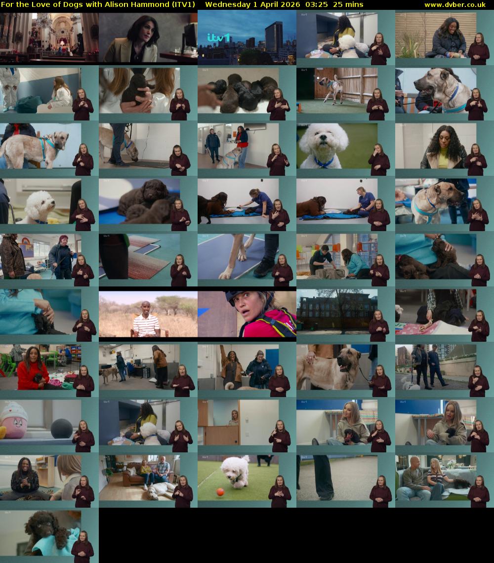 For the Love of Dogs with Alison Hammond (ITV1) Wednesday 1 April 2026 03:25 - 03:50