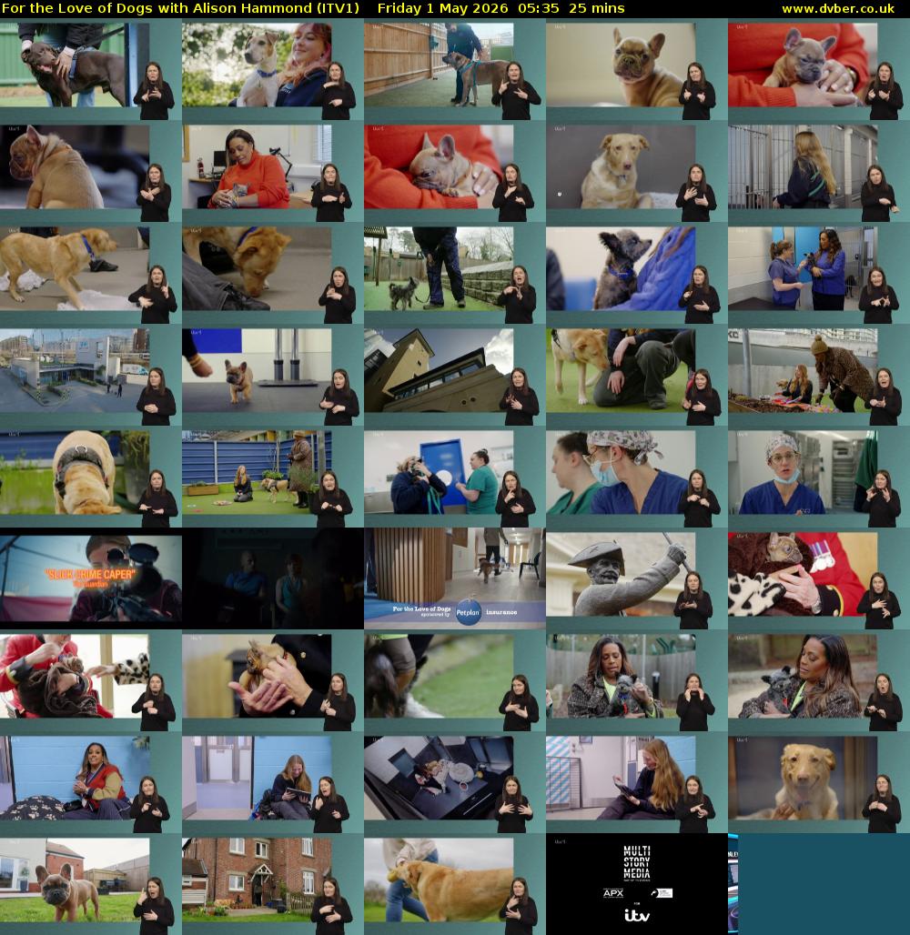 For the Love of Dogs with Alison Hammond (ITV1) Friday 1 May 2026 05:35 - 06:00