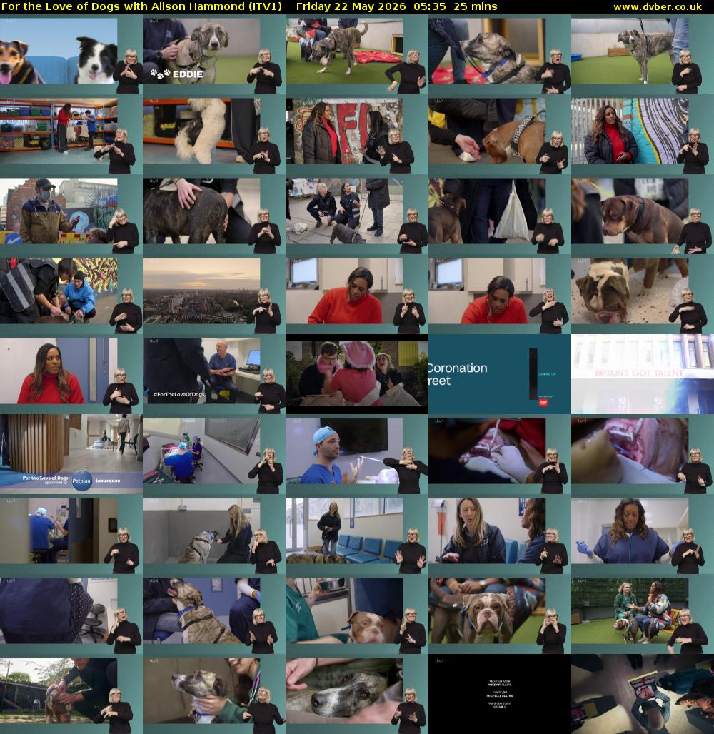 For the Love of Dogs with Alison Hammond (ITV1) Friday 22 May 2026 05:35 - 06:00
