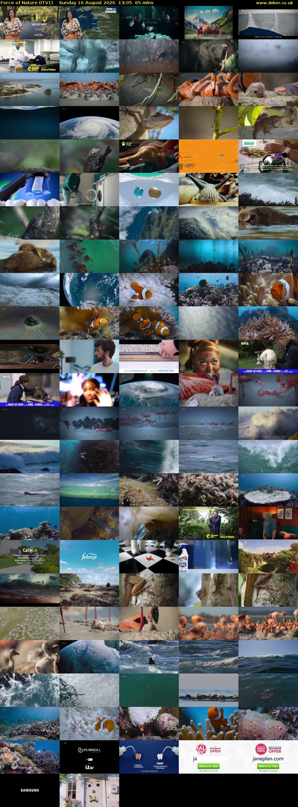 Force of Nature (ITV1) Sunday 16 August 2026 13:05 - 14:10