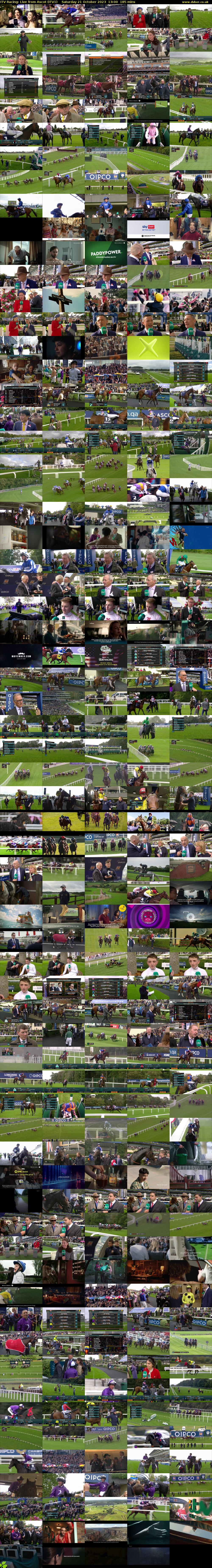 ITV Racing: Live from Ascot (ITV1) Saturday 21 October 2023 13:00 - 16:05