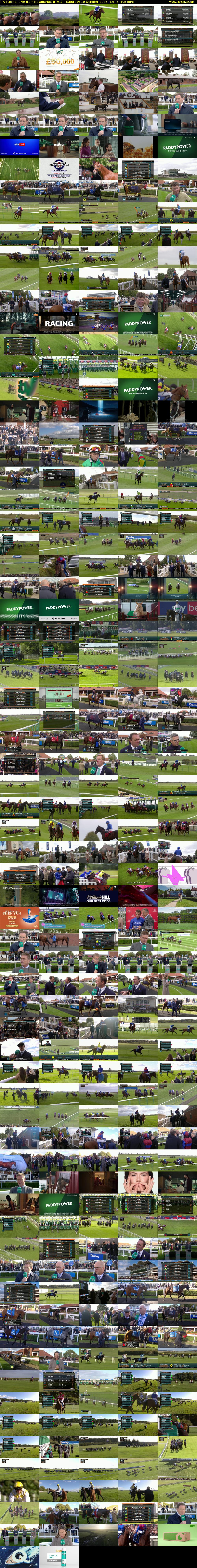 ITV Racing: Live from Newmarket (ITV1) Saturday 10 October 2026 12:45 - 16:00
