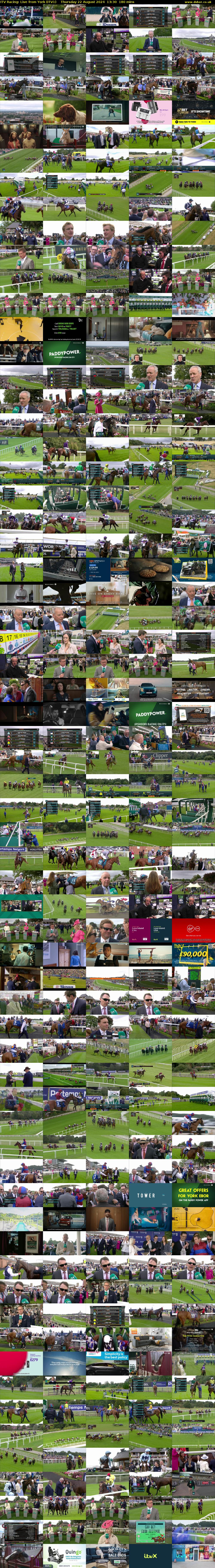 ITV Racing: Live from York (ITV1) Thursday 22 August 2024 13:30 - 16:30