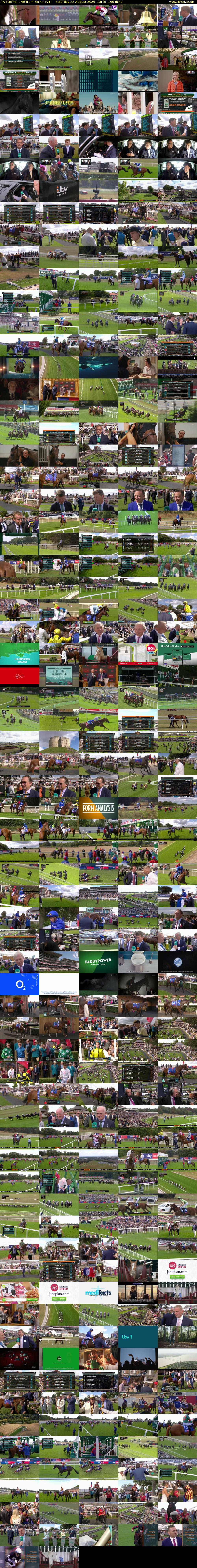 ITV Racing: Live from York (ITV1) Saturday 22 August 2026 13:15 - 16:30