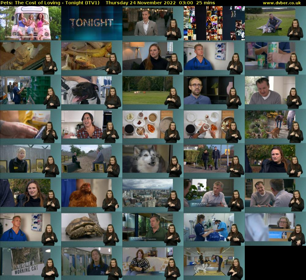 Pets: The Cost of Loving - Tonight (ITV1) Thursday 24 November 2022 03:00 - 03:25