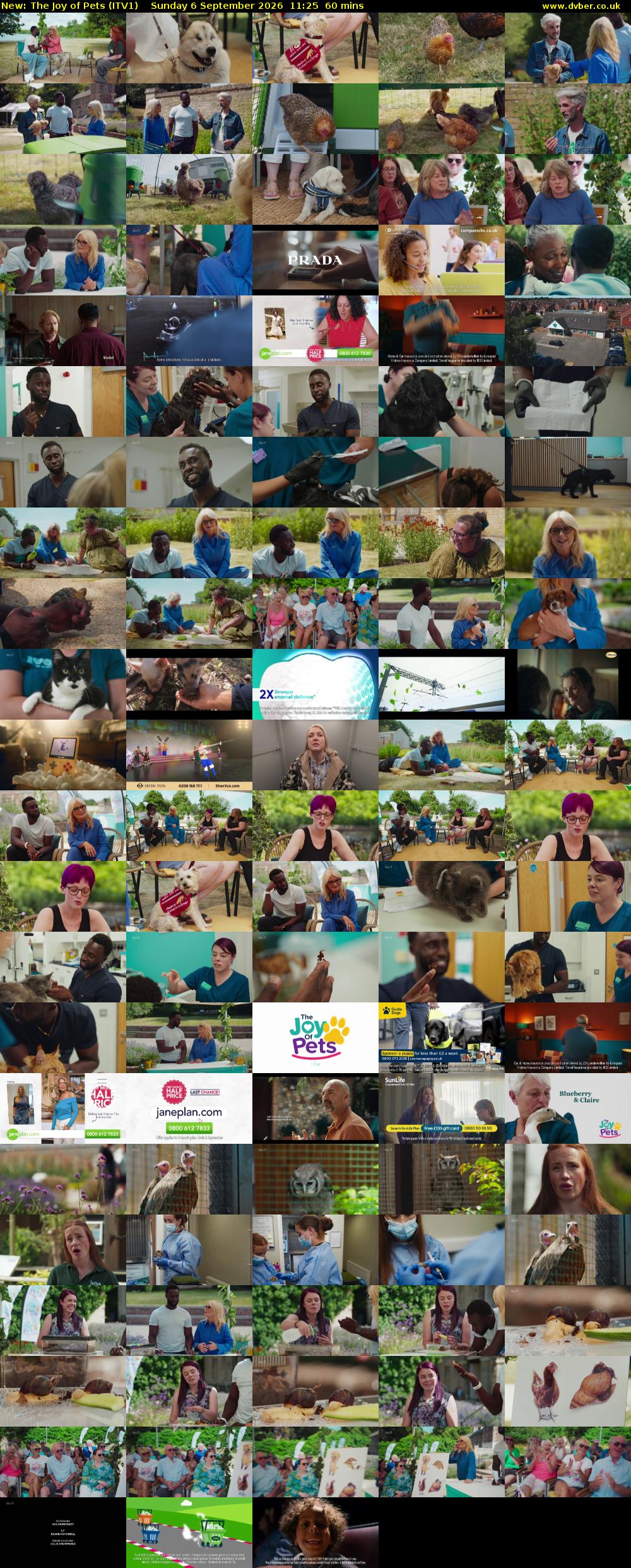The Joy of Pets (ITV1) Sunday 6 September 2026 11:25 - 12:25