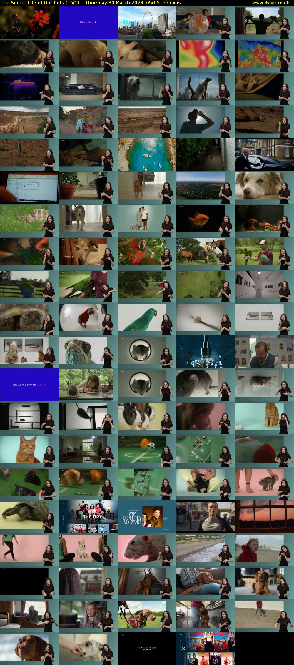 The Secret Life of Our Pets (ITV1) Thursday 30 March 2023 05:05 - 06:00