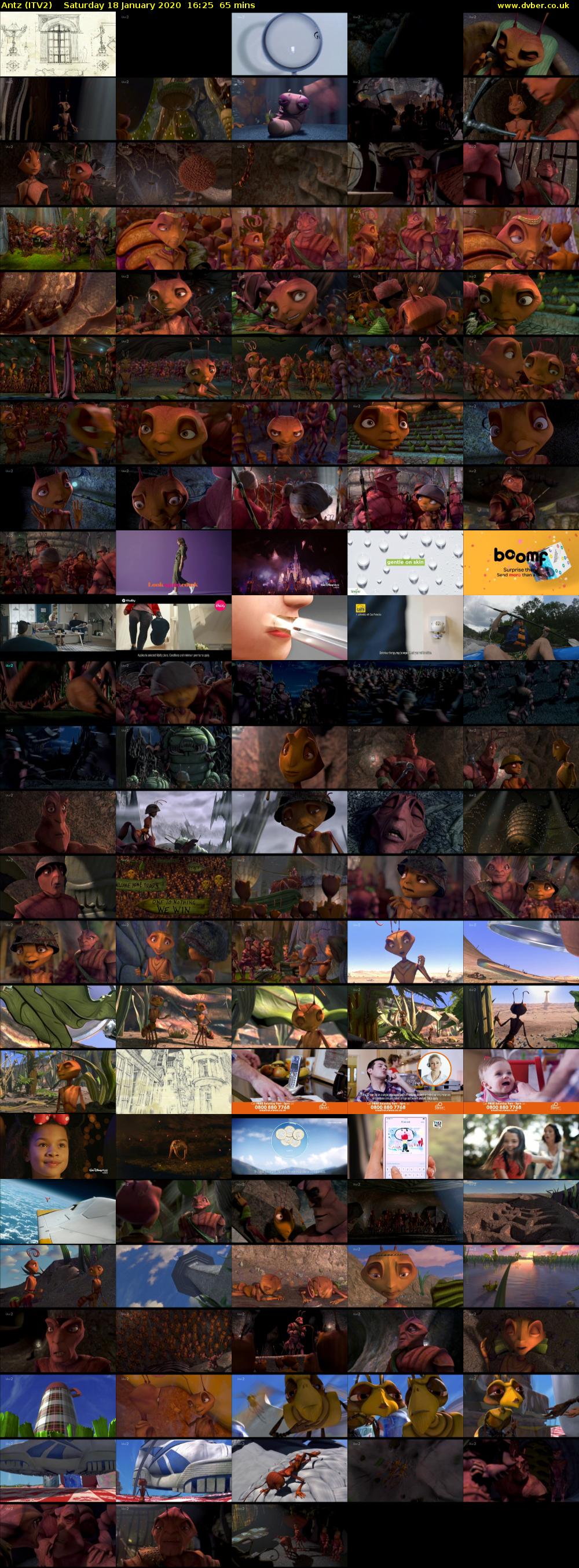 Antz (ITV2) Saturday 18 January 2020 16:25 - 17:30